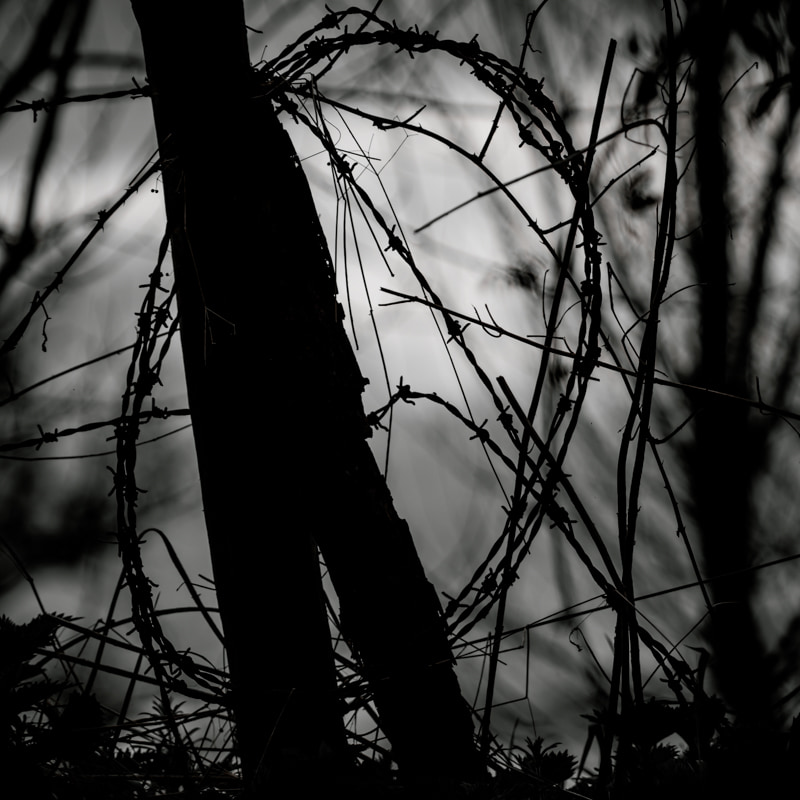 A coil of barbed wire like a crown